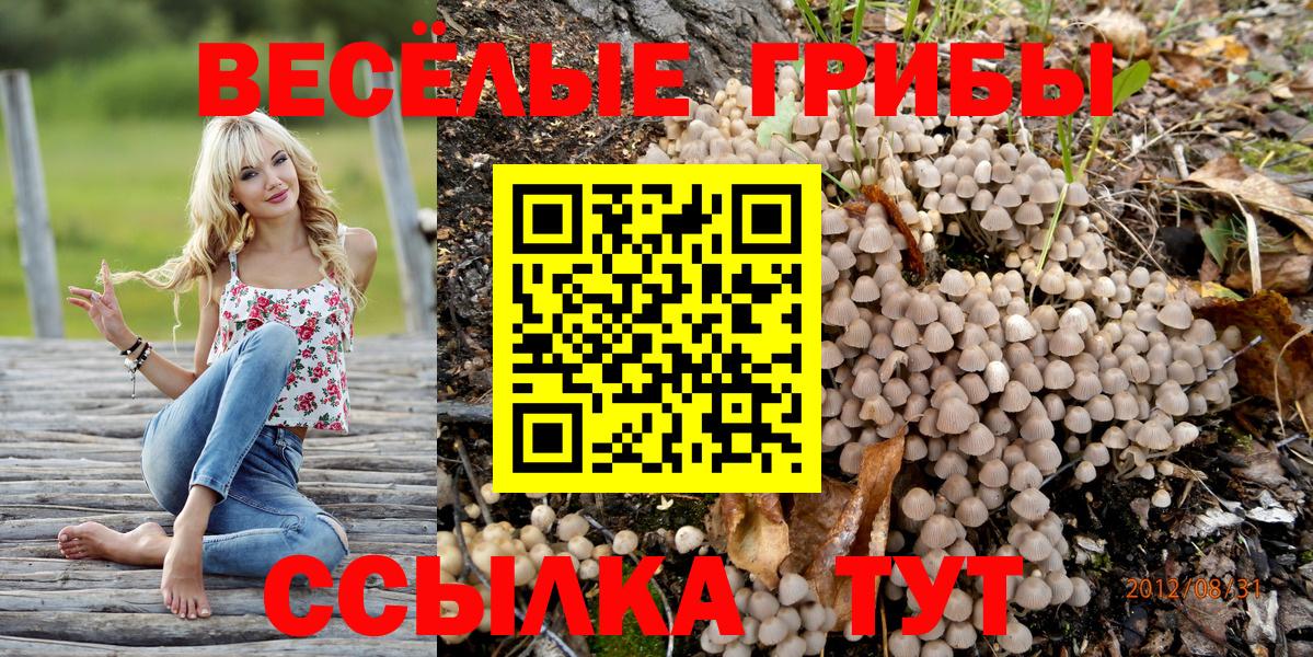 Кокаин  Alpha PVP СК   Канабис  Метамфетамин  Гашиш  Нижнекамск  МЕФ кристаллы  Вход с VPN 