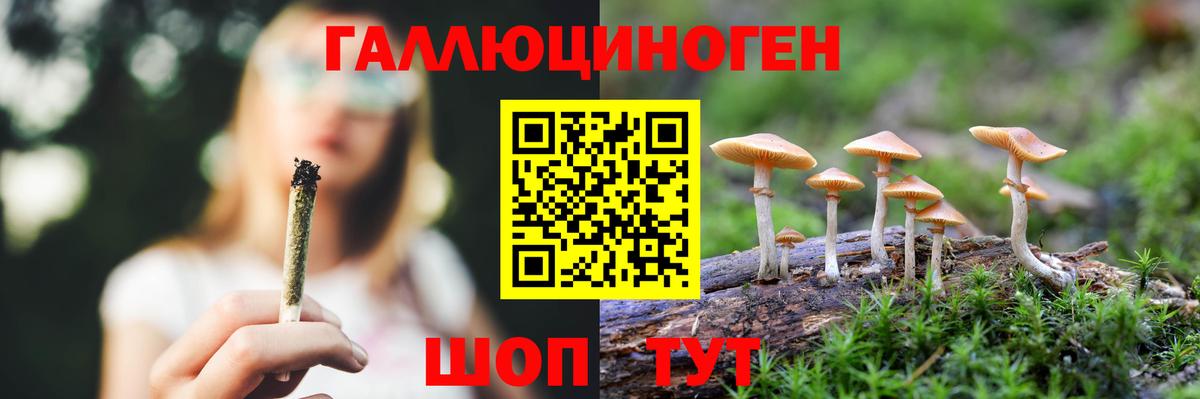 Псилоцибиновые грибы ЛСД  Вход с VPN  Нижнекамск 